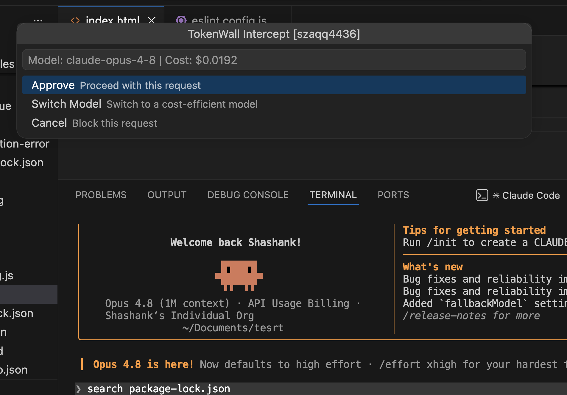 TokenWall CLI Interactive Approval